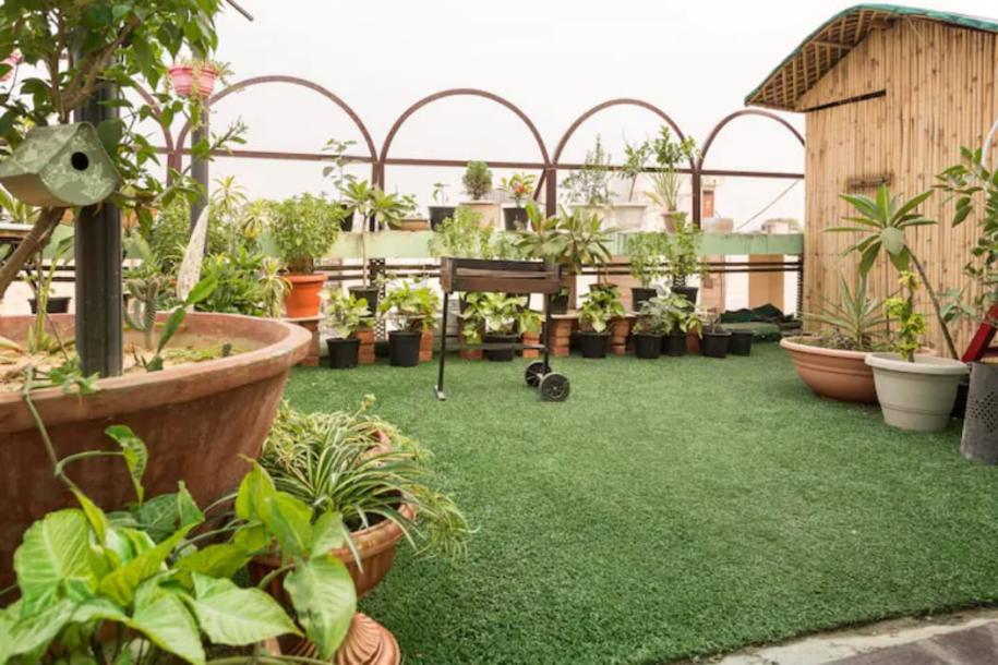 3BHK Builder Floor-5